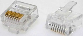 Modularstecker, RJ45 (8p8c), kurze Bauform, 15 µ, Inhalt: 100 Stück, für Flachkabel